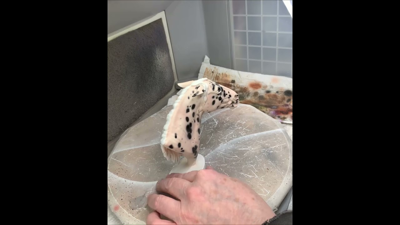 Airbrushing a leopard Appaloosa by Myla Pearce, Half Fast Farms Studio
