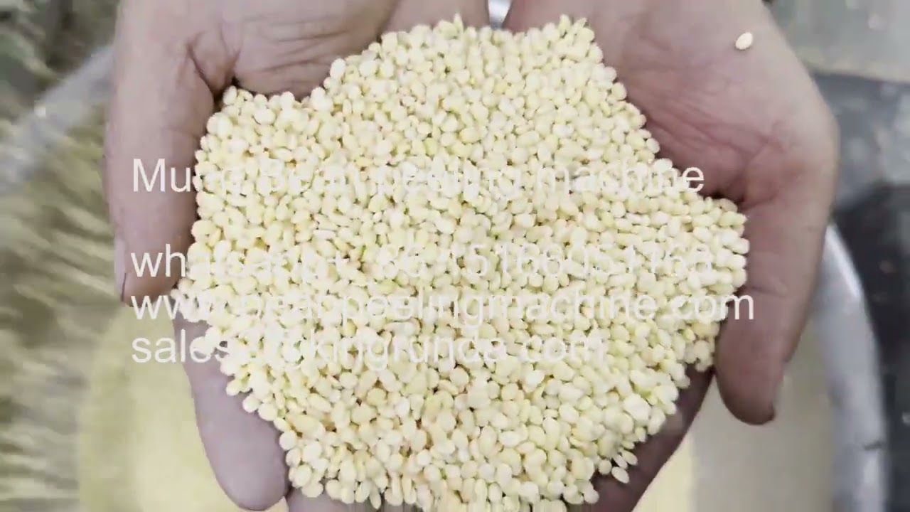 Mung Bean peeling machine/mung bean skin removing machine/mung bean skin peeler/gram peeling machine