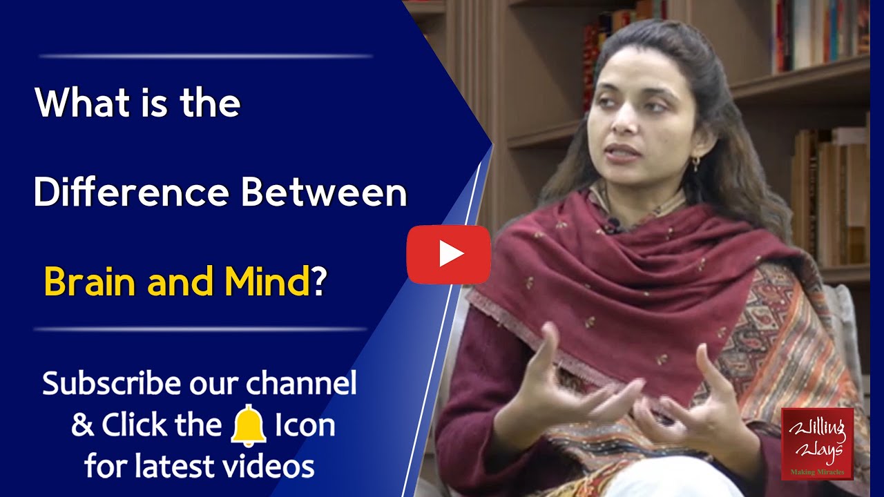 What is the difference between brain and mind