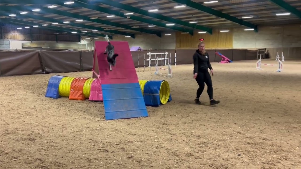 Inspire agility 21/02/2026