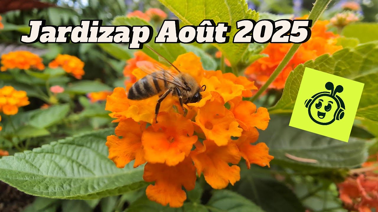 Jardizap Août 2025