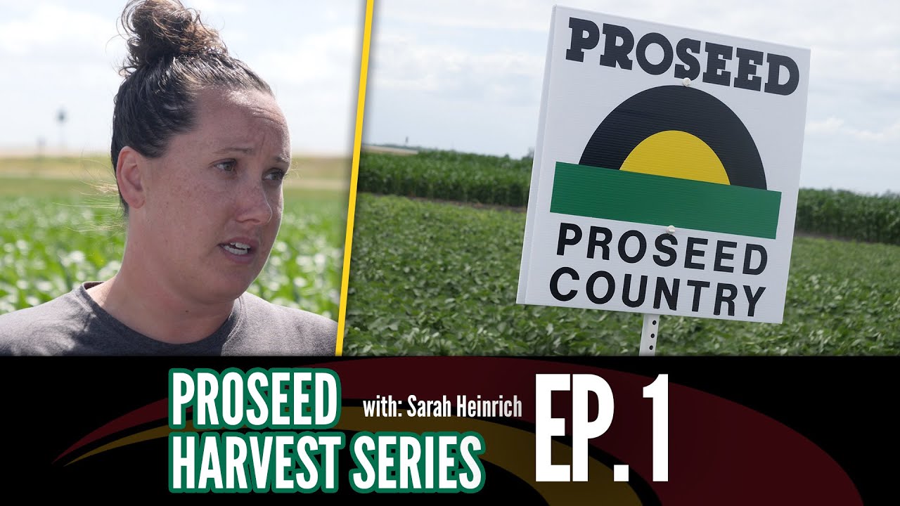 PROSEED Harvest Series Ep. 1 | KFGO