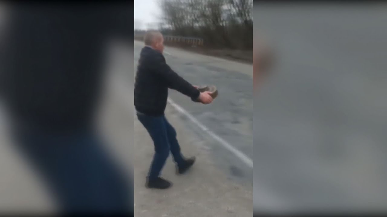 Public Freakout Compilation #44
