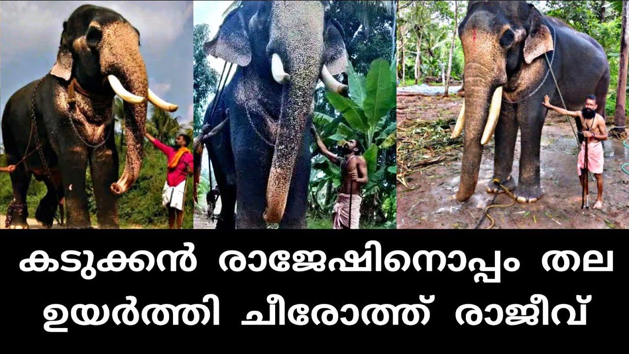 Kadukkan Rajesh - Cheeroth Rajeev sparks partnership | kadukkan Rajesh cheeroth Rajeev