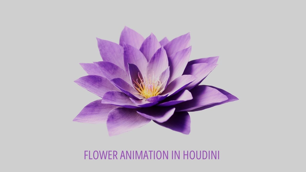Houdini Tutorial | Blooming Flowers | Node Layout | Part 3.5