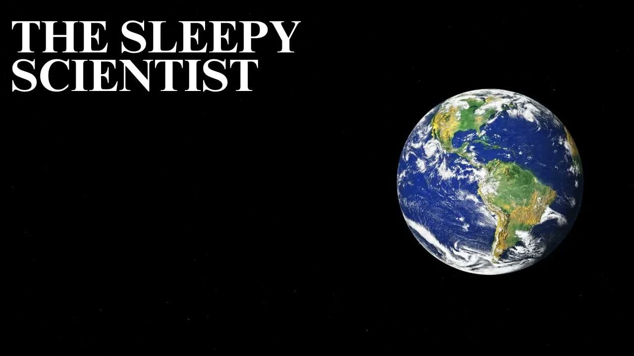 Weird Facts About Animals   Science for Sleep