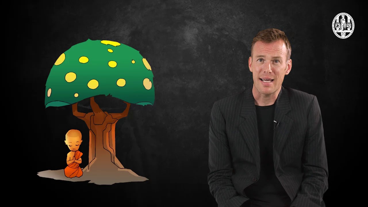 Enlightenment - De-Mystifying Mindfulness by  Universiteit Leiden #3