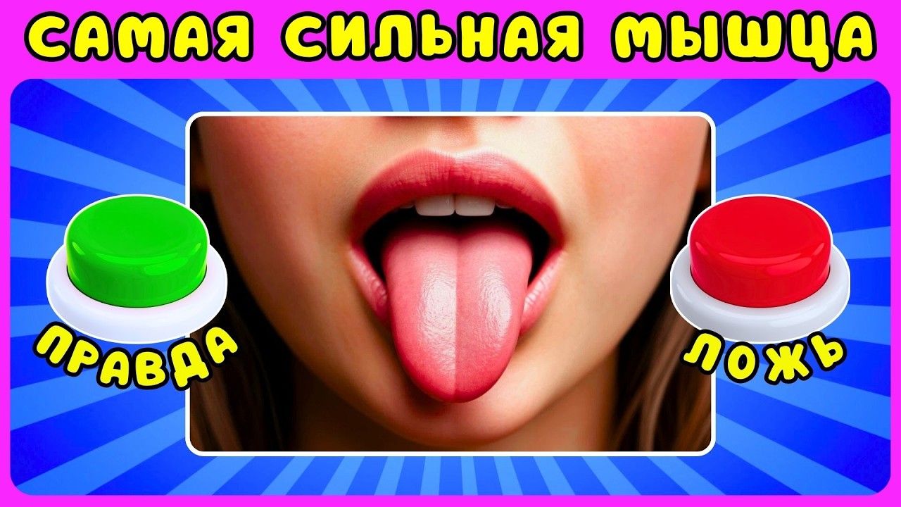 Выбери одну кнопку ПРАВДА✅ или ЛОЖЬ❌ челлендж ЖИЗА