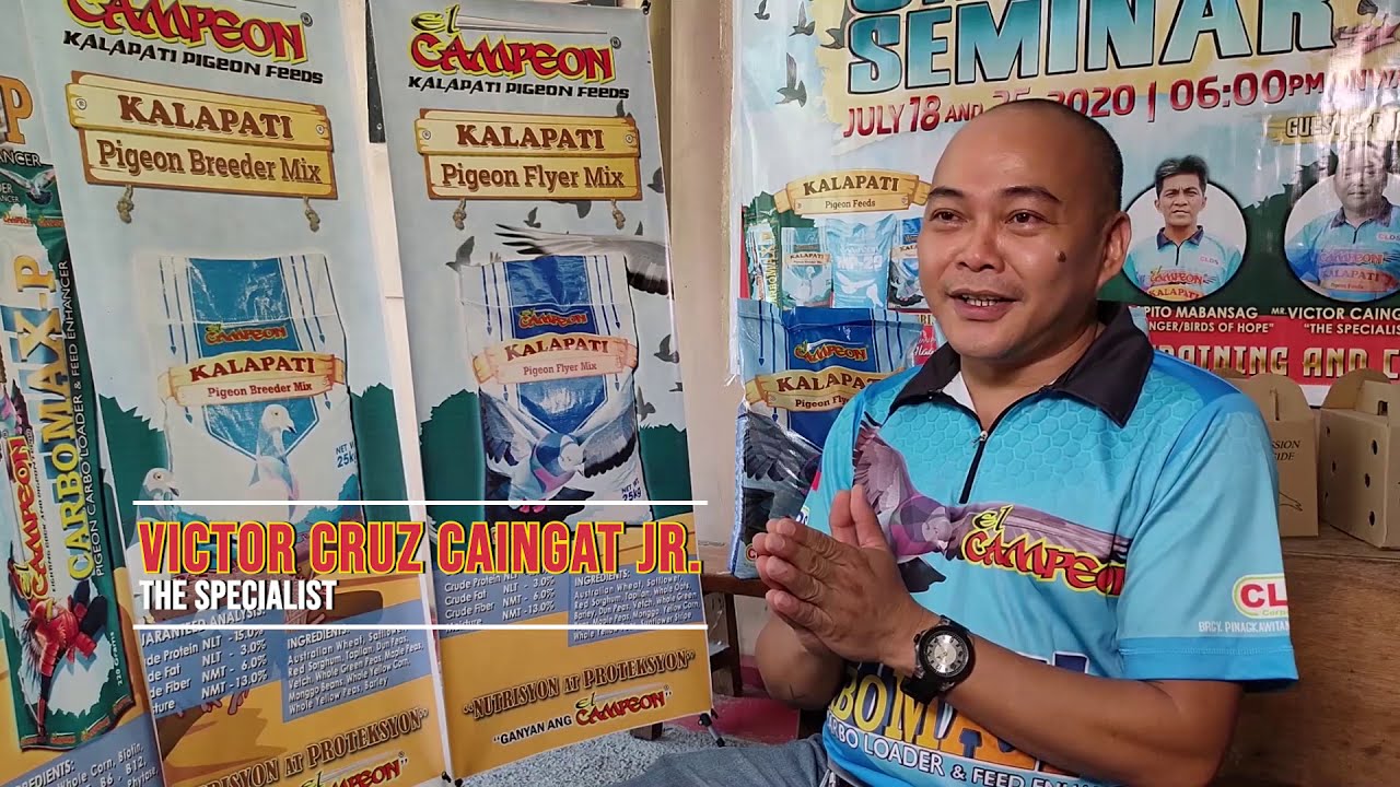BREEDING TECHNIQUE IN PIGEON RACING - VICTOR CAINGAT