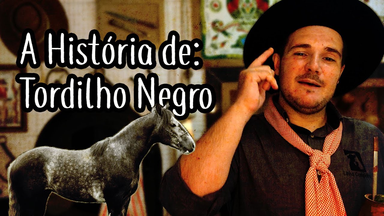 A Historia da Música Tordilho Negro do Teixeirinha - 
