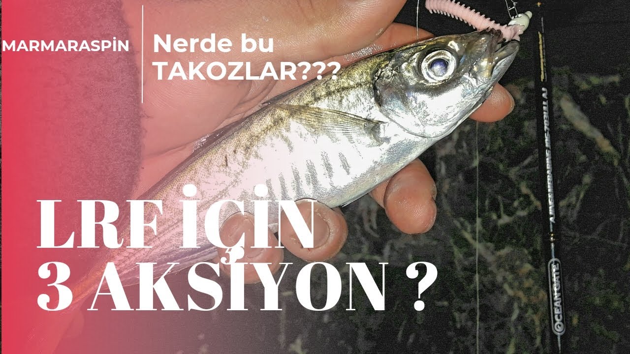 LRF avı için 3 farklı aksiyon (uygulamalı anlatım)- Nerede bu TAKOZLAR??? #lightrockfishing #lrf