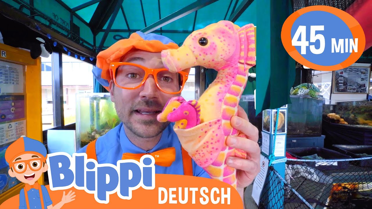 Blippi lernt Meerestiere kennen | Blippi Deutsch | Abenteuer und Videos für Kinder