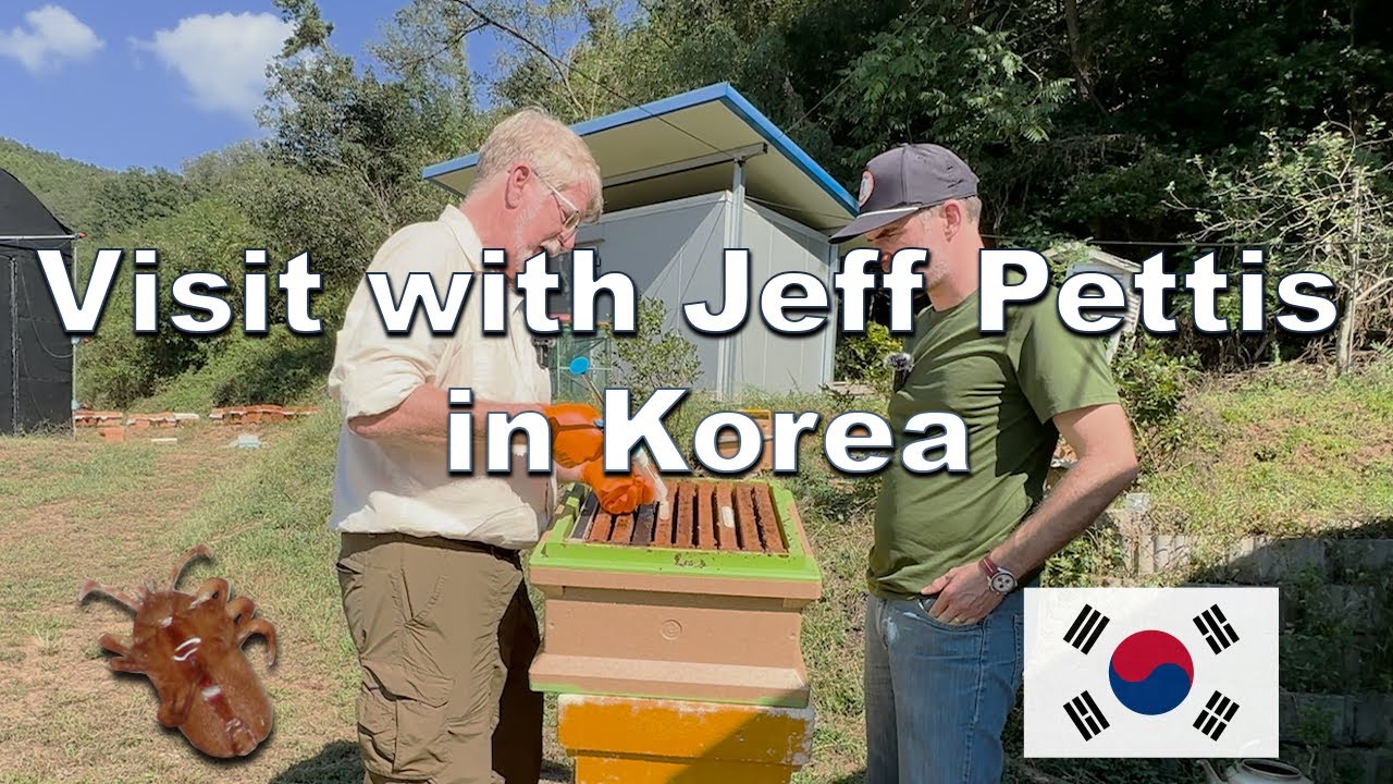 Update 13: Visit With Jeff Pettis in Korea