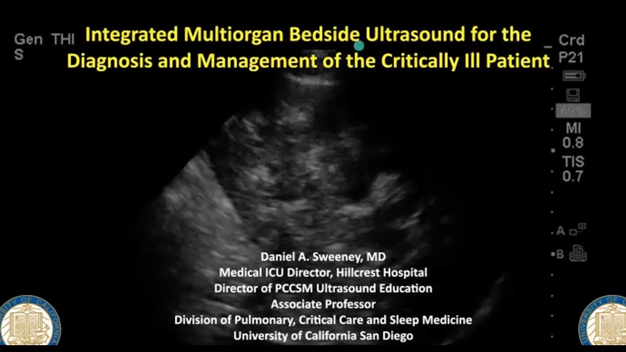 Daniel Sweeney, MD - Integrated Multi-Organ Bedside Ultrasound for the Diagnosis and Management..