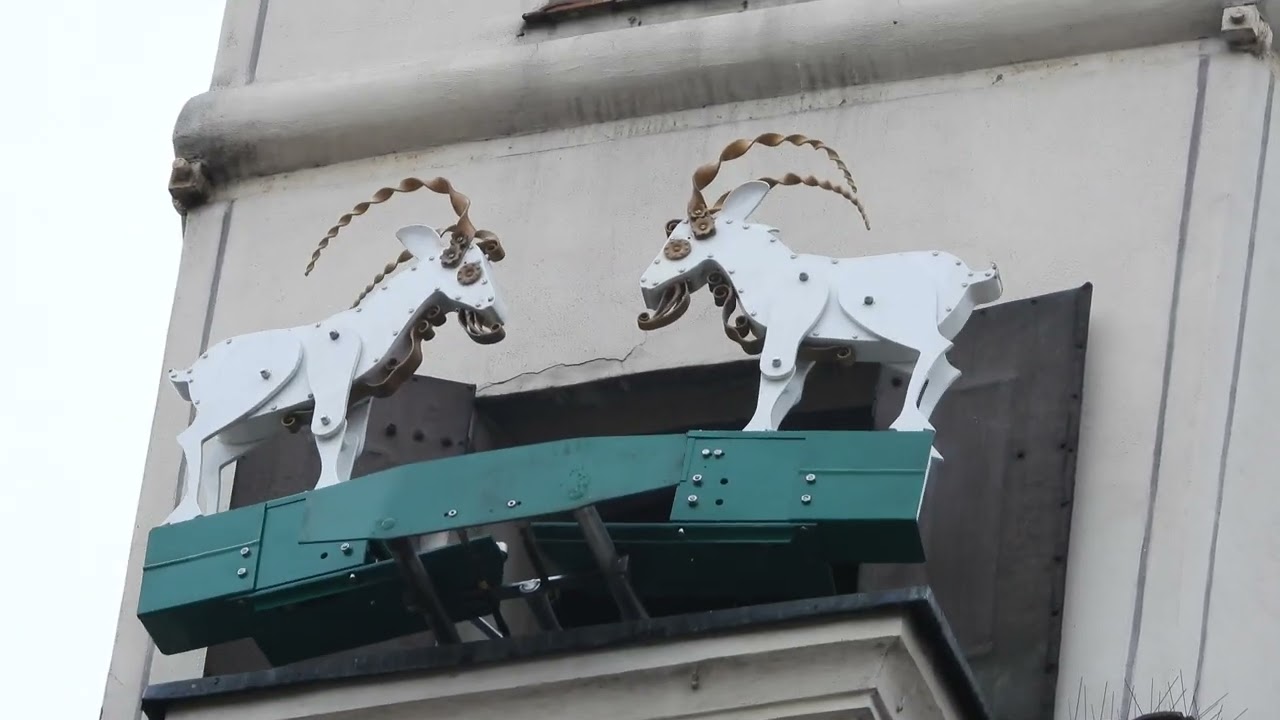 Poznańskie koziołki