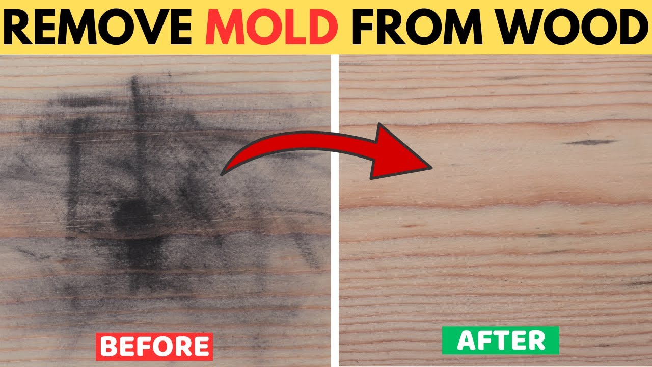 Best Way to Remove Black Mold Stains from Wood with Vinegar