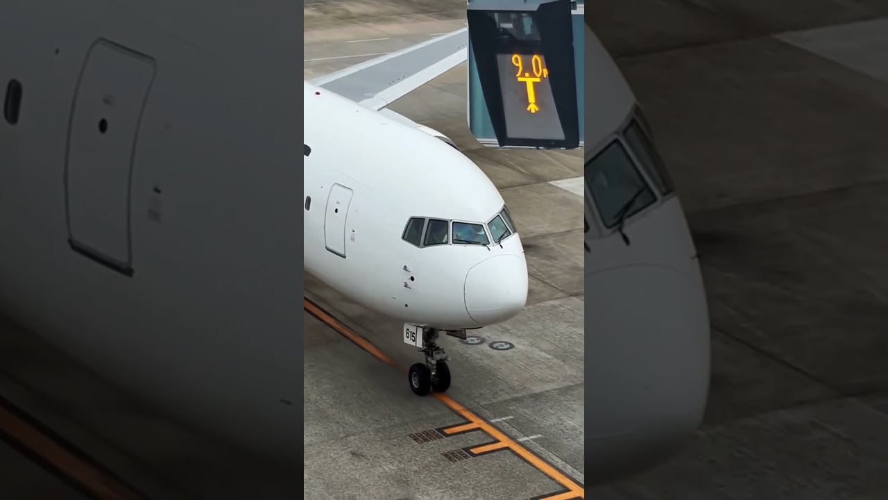 Perfect Docking! Japan Airlines B767-300ER Lines Up Flawlessly Under VDGS