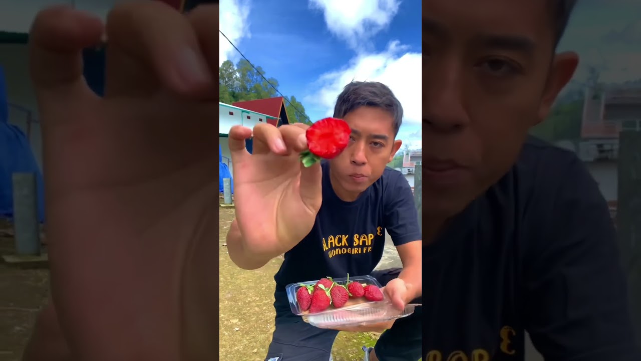 Ternyata di indonesia ada strawberry jumbo #strawberryjumbo #strawberry