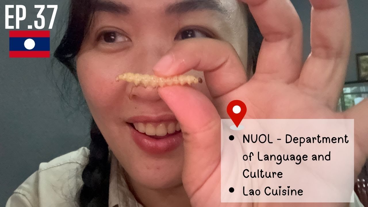 Vientiane - Department of Language & Culture (NUOL), Lao Cuisine | Laos with Locals EP.37