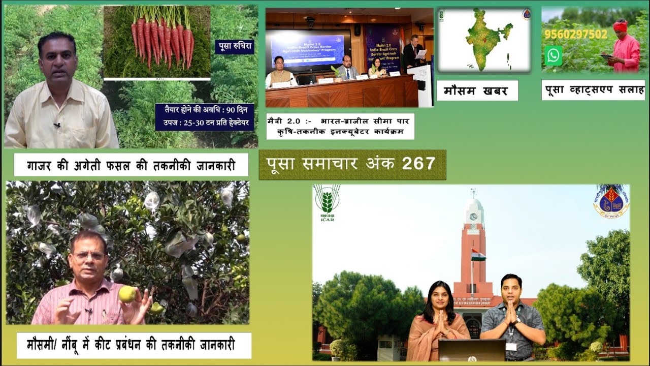 पूसा समाचार अंक 267  Pusa Samachar Episode 267