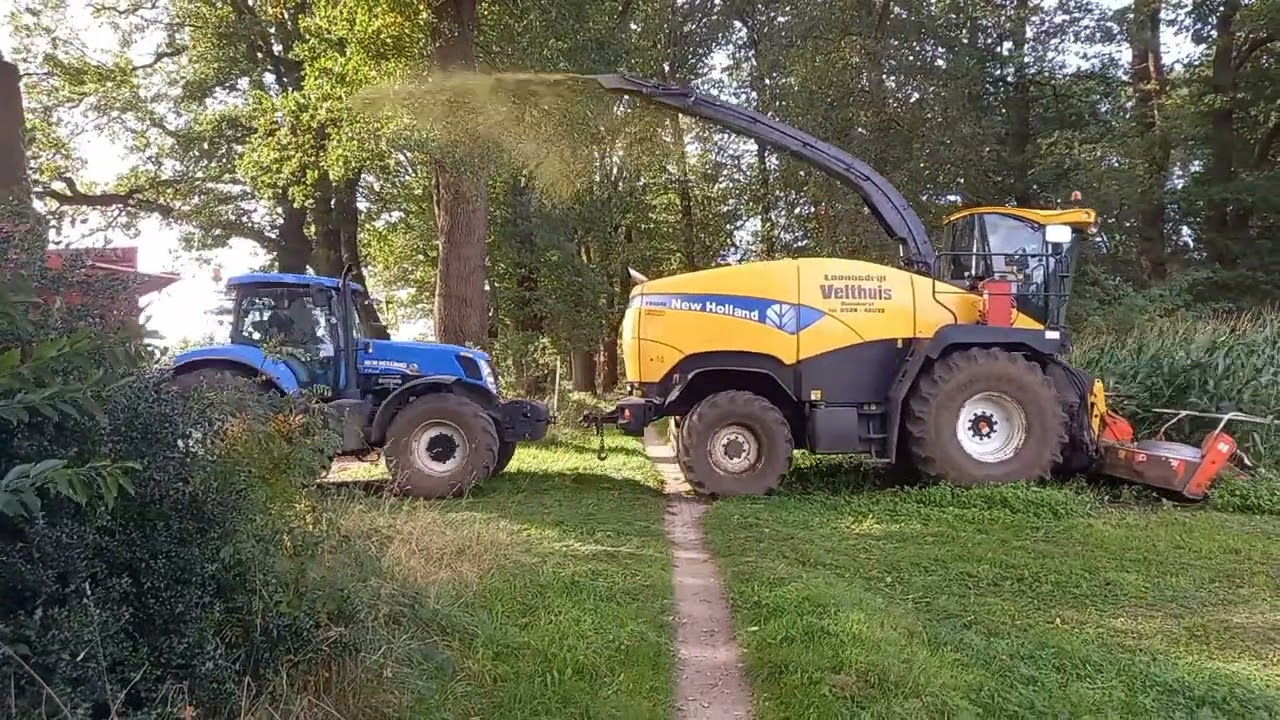 late mais hakselen bij Mts. Maat Hoonhorst