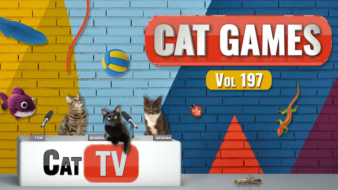Gry CAT | Najlepsza kompilacja Cat TV Vol 197 | 8 GODZIN 🐝🐞🦋🦎🦜🐜🐭🧵