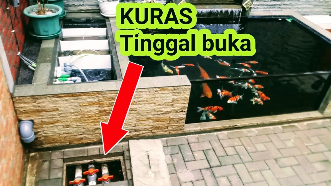 Sistem pengurasan chamber filter kolam koi cepat dan mudah