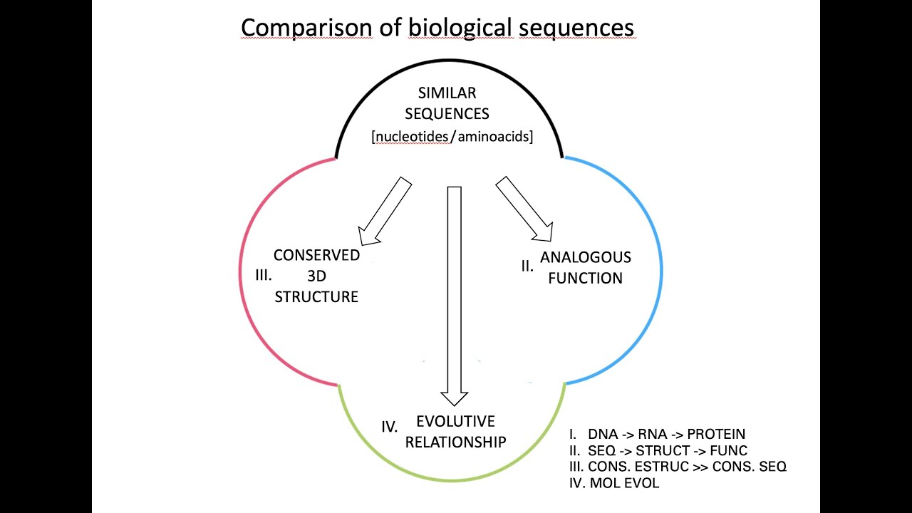 Intro - Methods for Comparing Biological Sequences