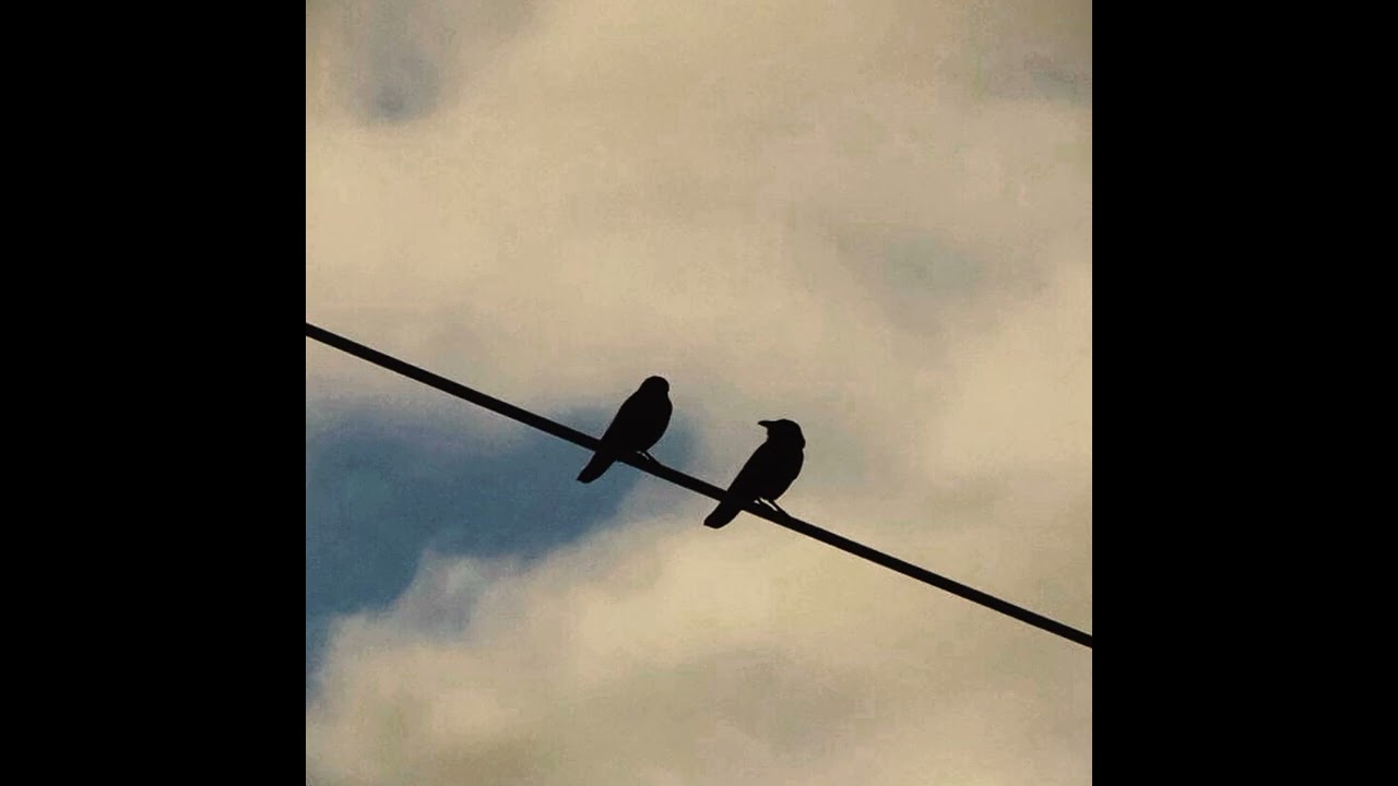 regina spector - two birds (acapella)