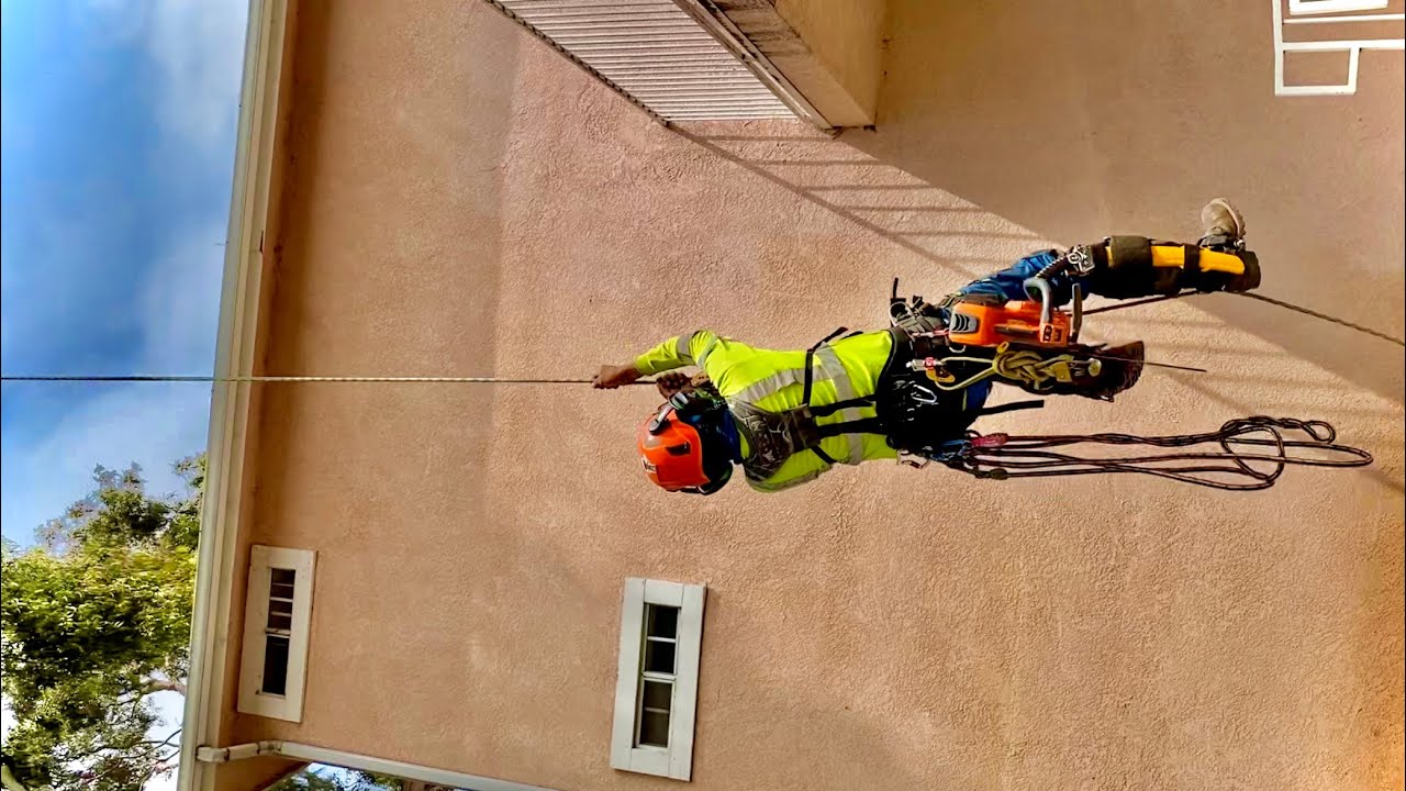 Cómo poner una soga para trepar en una linia o (SRT) petzl zigzag y chicane