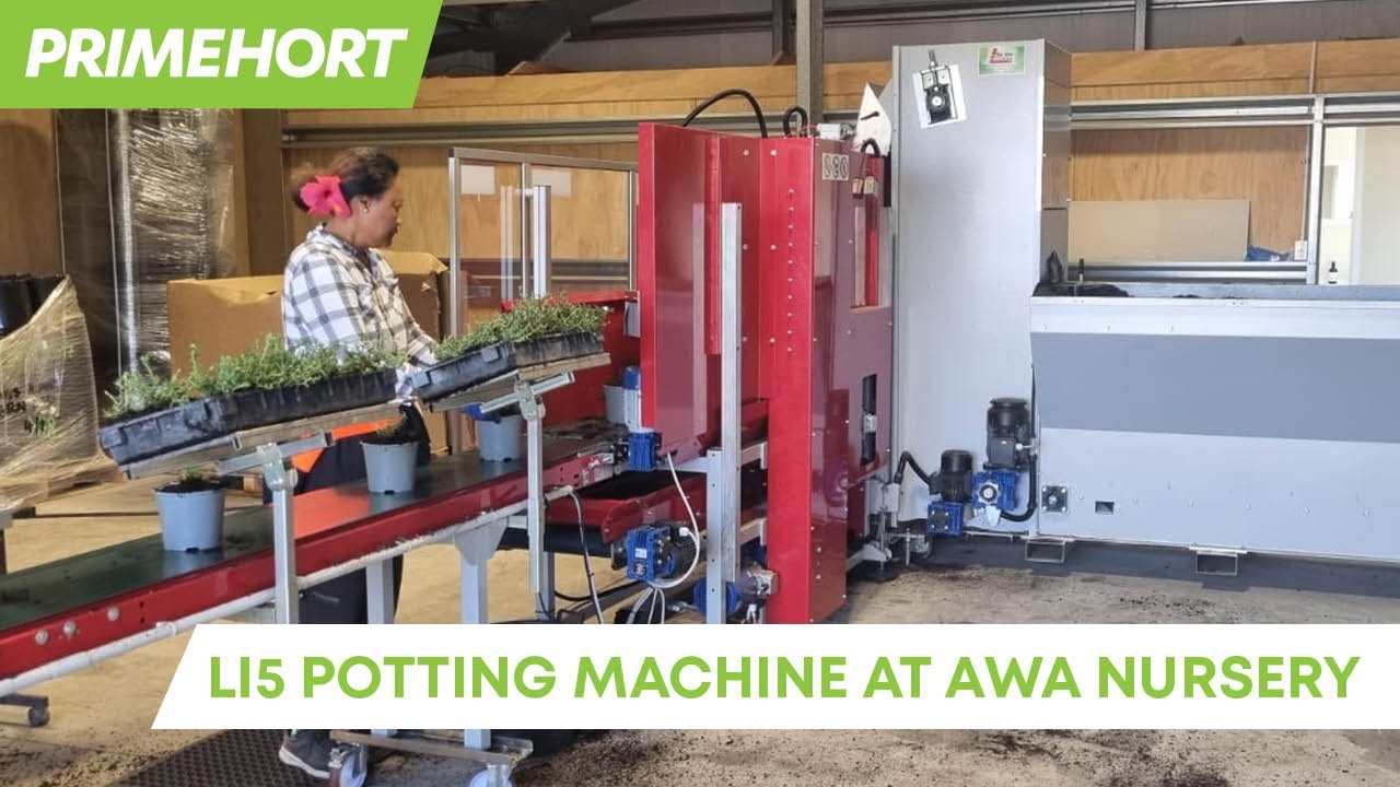 Primehort LI5 Potting Machine at Awa Nursery