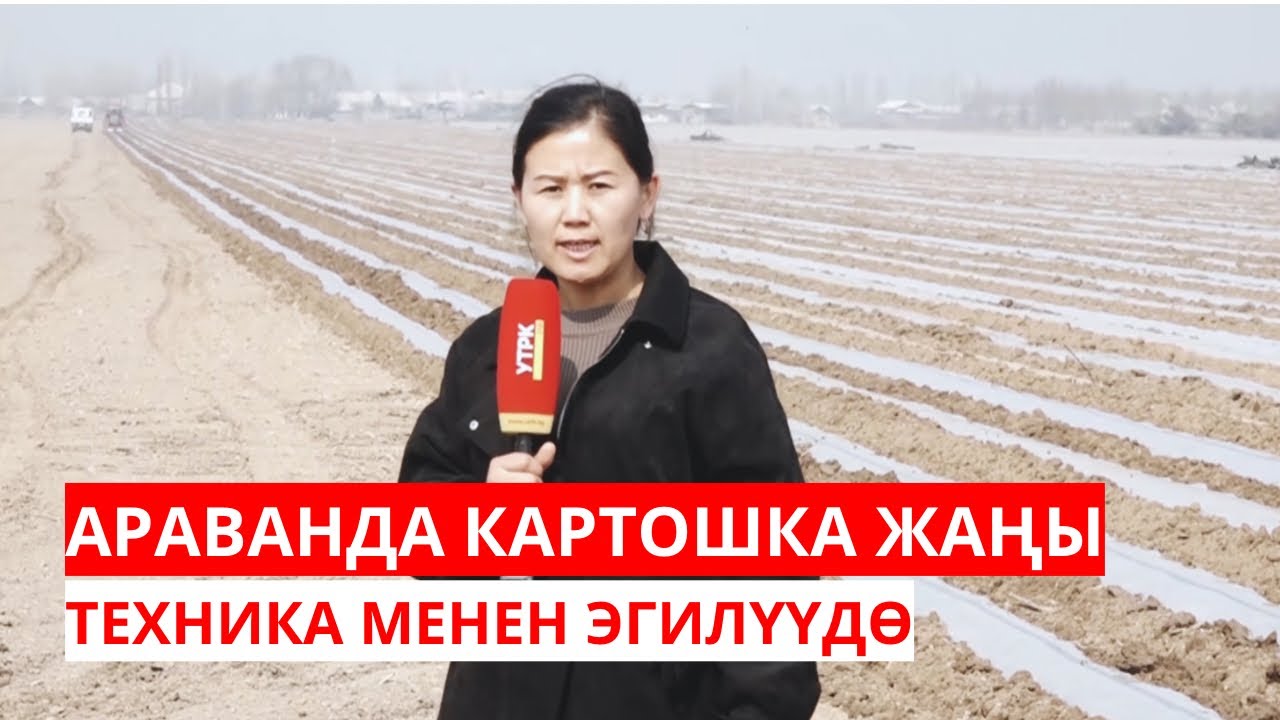 АРАВАНДА КАРТОШКА ЖАҢЫ ТЕХНИКА МЕНЕН ЭГИЛҮҮДӨ