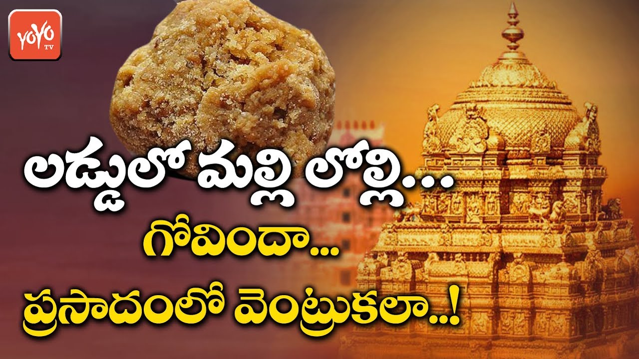 TTD Staff Negligence Making On Thirumala Laddu | Thirumala Laddu Story | Tirupati News | AP| YOYO TV