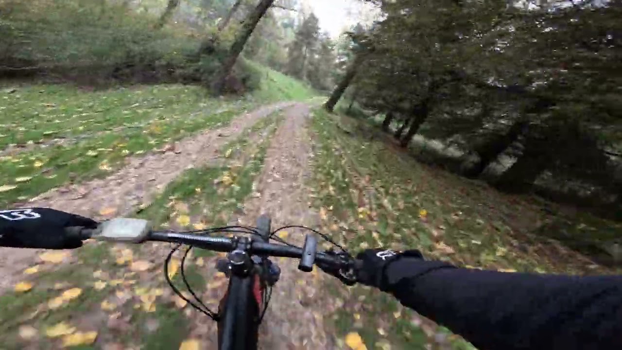 Riserva Sambughetti - Campanito...il foliage e le suggestive atmosfere autunnali