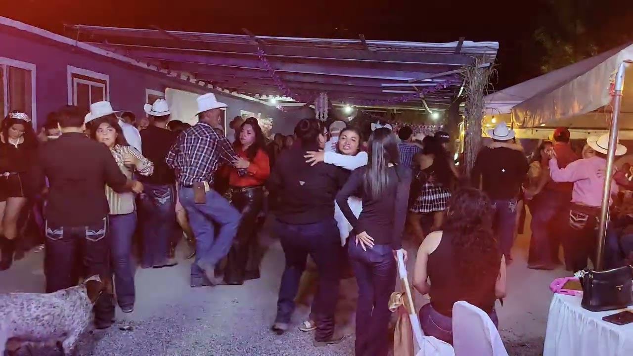 Huapangos para bailar 