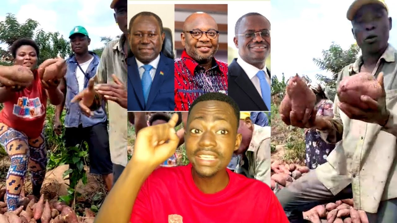 Just In: Ex-COCOBOD chiefs who collapsed cocoa sector finally busted as farmers praise Mahama 