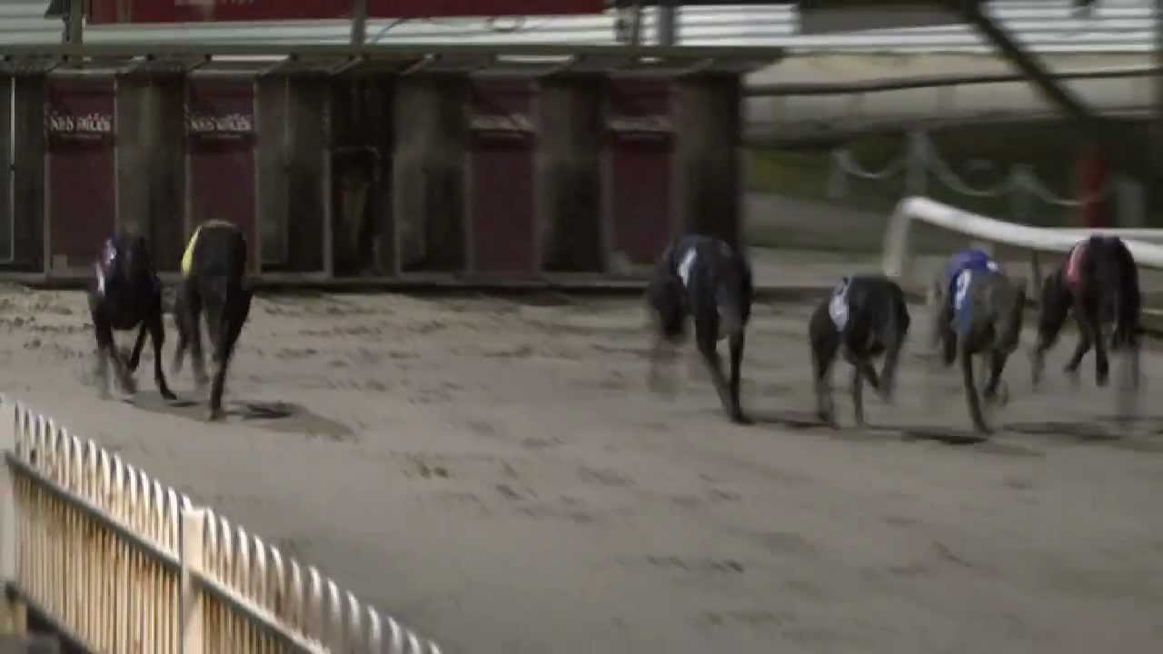 heat 1