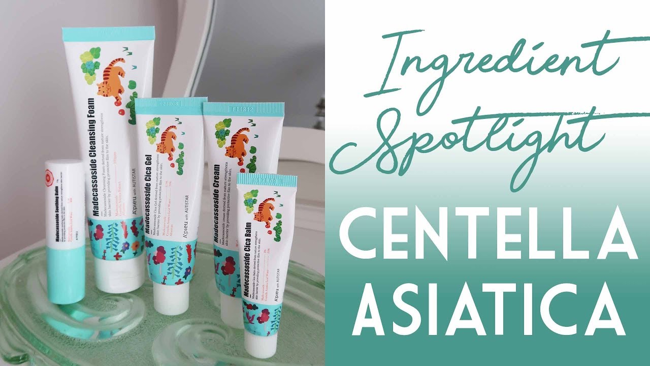 İçerik Dosyası: Centella Asiatica │Cica Kremler │ A'Pieu Madecassoside Serisi İncelemesi