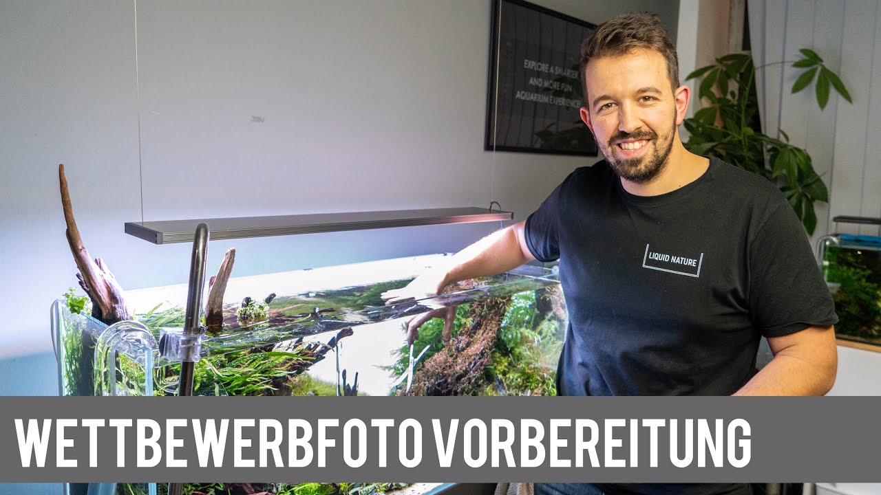 Aquarium für Wettbewerbfoto vorbereiten! 160L Aquascape Liquid Garden 100P | Liquid Nature