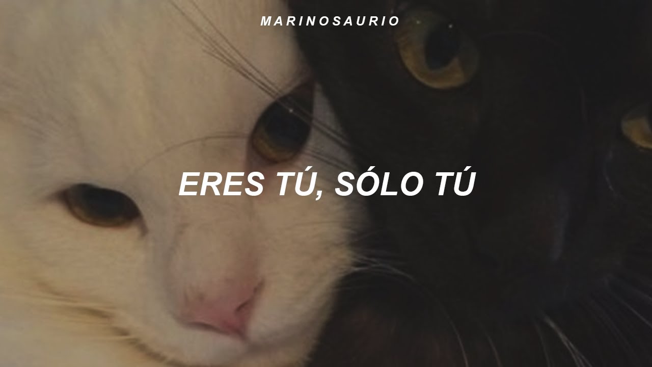 Matisse, Reik - Eres T&uacute; (Letra)
