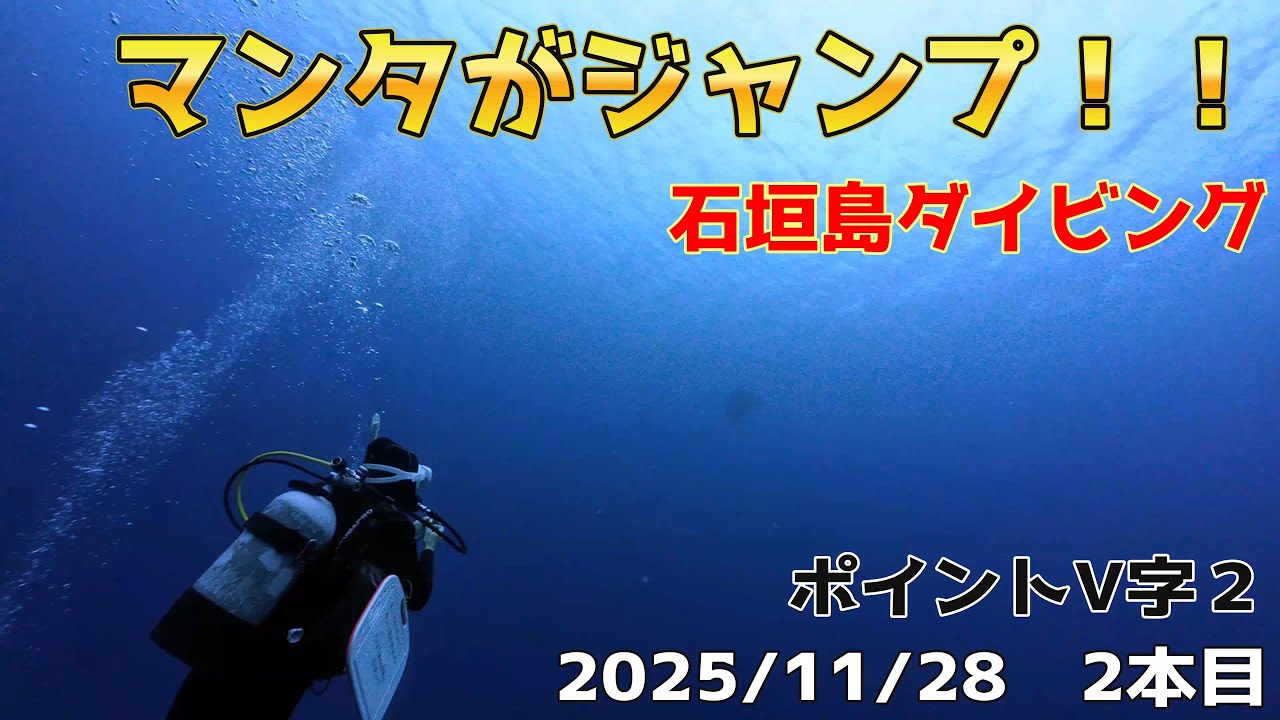 INONワイコン撮影！マンタが水面にジャンプ！？石垣島にダイビング！　[石垣島ダイビング/石垣島/ボートダイビング/Ⅴ字２/スキューバダイビングvlog]