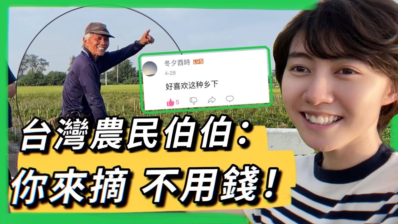 大陸網友喜歡的台式鄉下風光？路過陌生辣椒田，農民伯伯霸氣喊話：要多少自己摘！ ​⁠