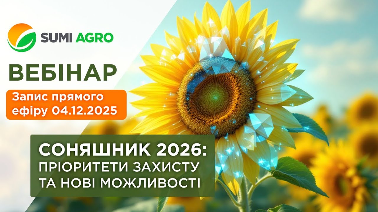 СОНЯШНИК 2026: ПРІОРИТЕТИ ЗАХИСТУ ТА НОВІ МОЖЛИВОСТІ
