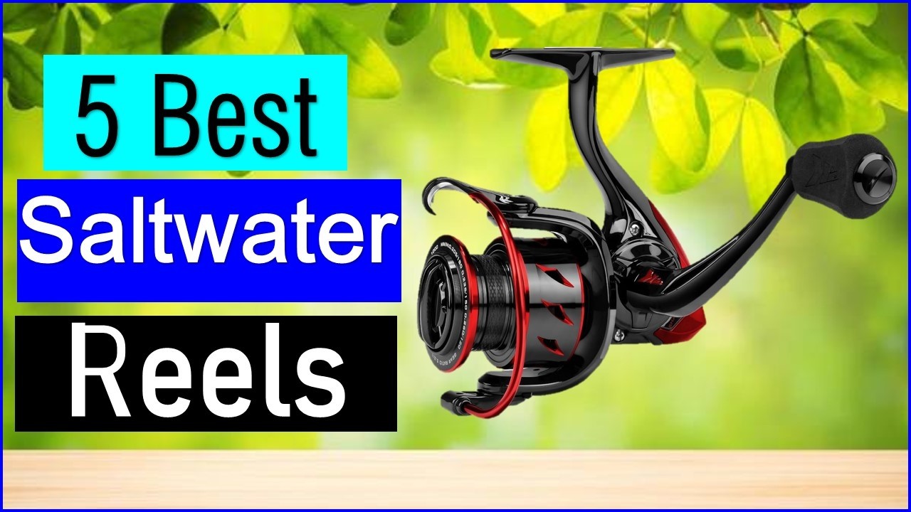 Best Saltwater Reels in 2026 | Top 5 Best Saltwater Reels - Reviewed