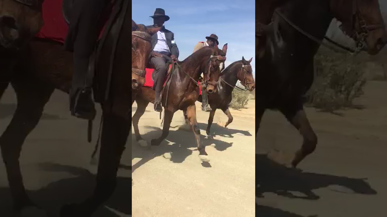 Horse Riders