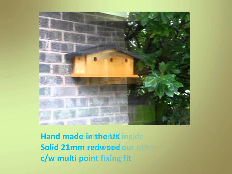 Sparrow terrace nesting box
