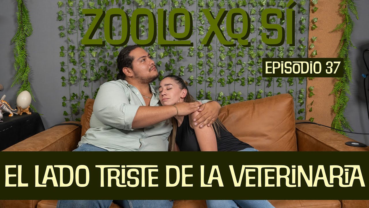 El lado TRISTE de la VETERINARIA | Episodio #37