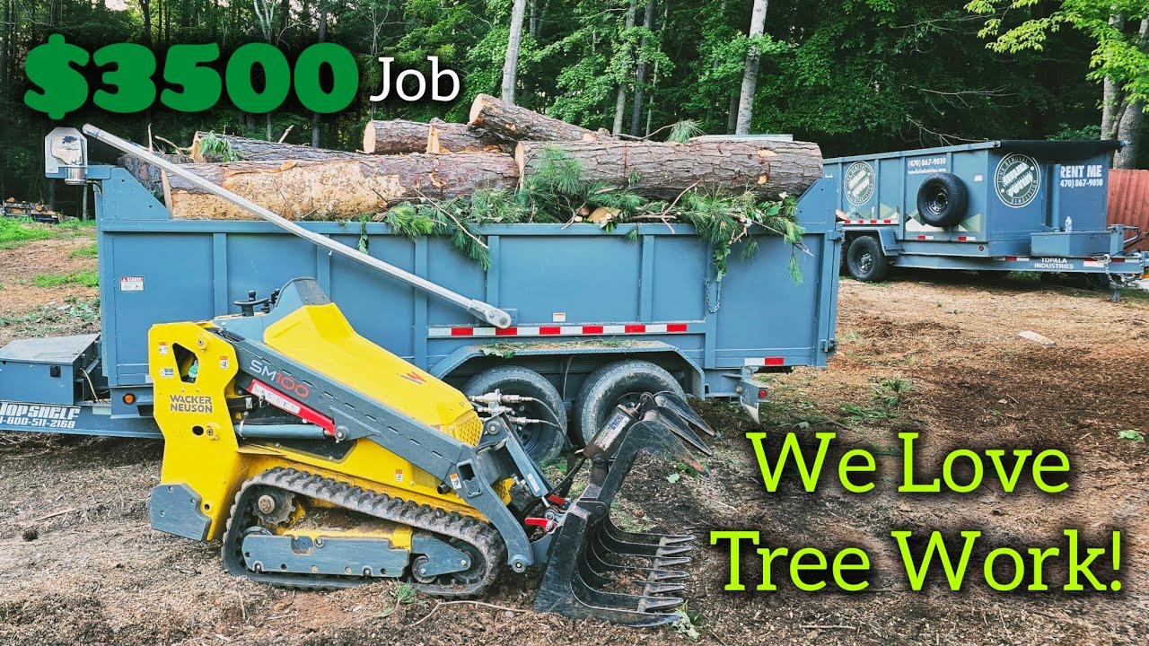 Removing 7 Dangerous Pine Trees For My Neighbor | Professionals Make It Look Easy!