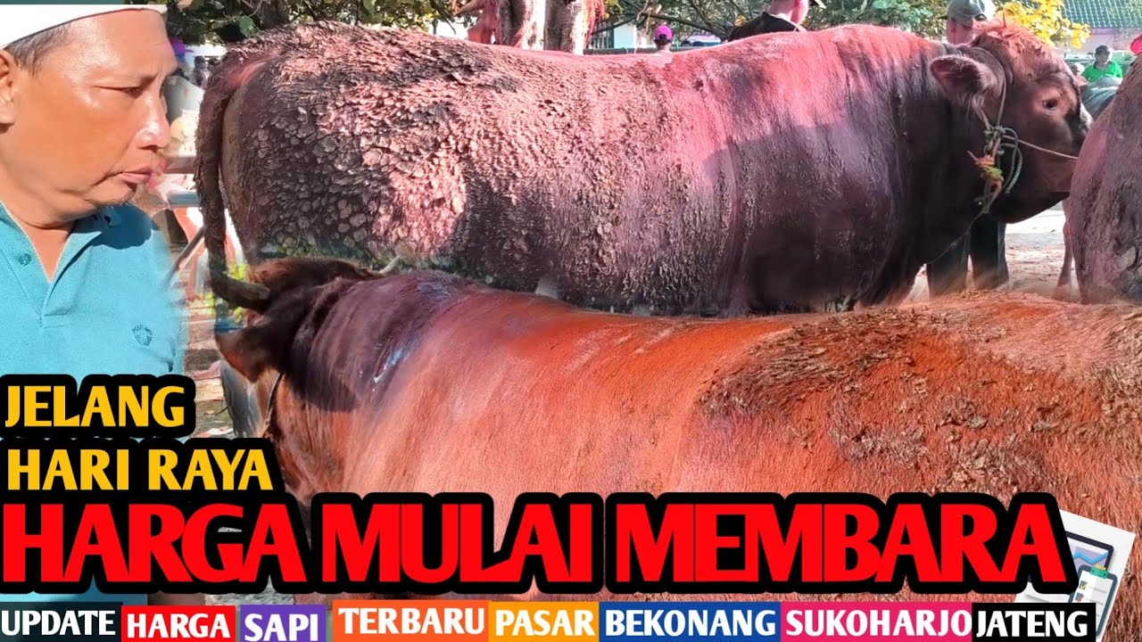 Jelang Hari Raya, Harga Mulai Membara 🔥