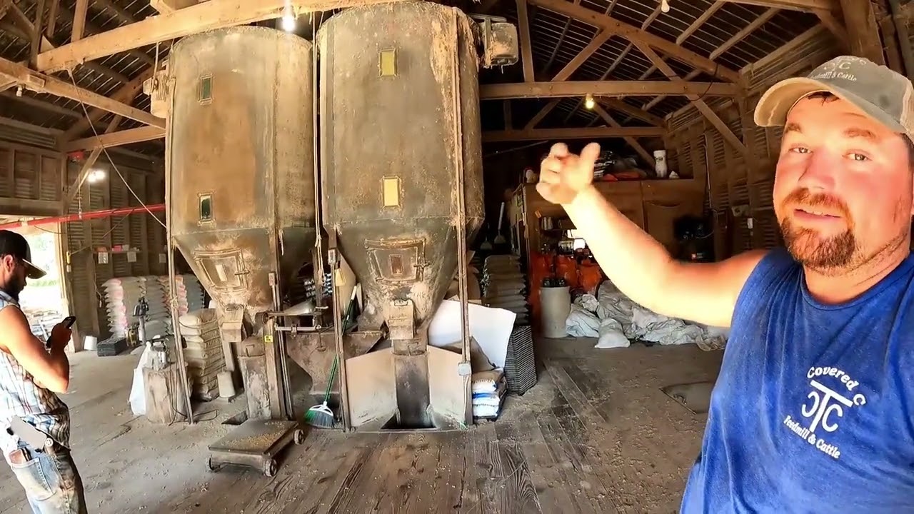 How livestock feed is MADE! #animals #animalfeeding #livestock #cow #feedmill #farming #chicken